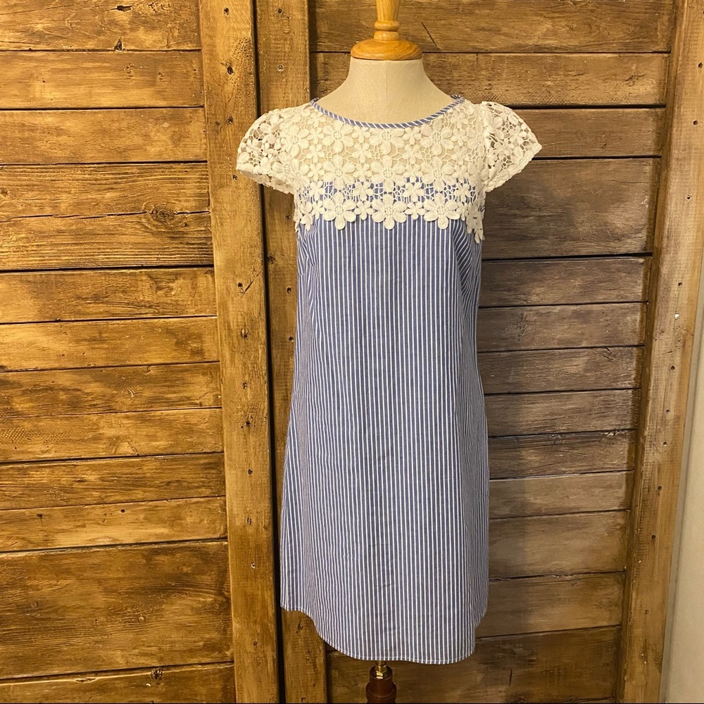 Adrianna Papell pinstripe blue white lace yoke crochet floral dress 4